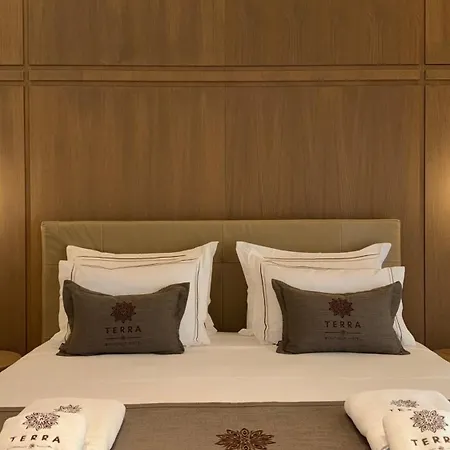 Terra Boutique 호텔 4*